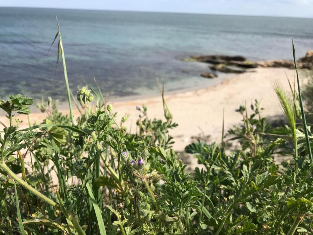 Black Sea Wellnest アヘロイ エクステリア 写真